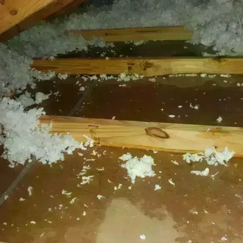 Attic Water Damage in Pelham, GA